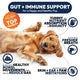 Happy Golden Retriever lying on its back illustrating dog health benefits: nutrient absorption, healthy bowel movements, reduced gas, fresher breath, and skin irritation relief.
