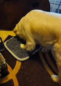 Golden Retriever dog interacting with a textured gray snuffle mat on a living room rug.