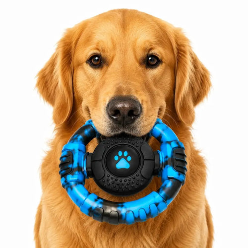 Close up of a Golden Retriever holding a blue camo durable ring chew toy with a built-in squeaker in its mouth.