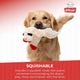 Golden Retriever dog holding a Lamb Chop squeaker toy in its mouth.