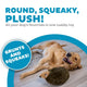 A happy Golden Retriever lying on its back on a living room floor, playing with a round, squeaky hedgehog plush dog toy.