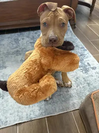 A close-up shot of a golden retriever puppy cuddling tightly with a small brown stuffed animal on a grey blanket.