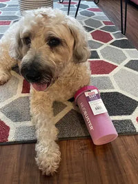 Cream Goldendoodle dog lying on a modern rug next to a pink MudBuster soft gentle silicone dog paw cleaner.