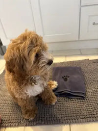 A fluffy golden-colored Goldendoodle puppy sitting on a grey chenille bath mat next to a neatly folded grey microfiber pet towel with a paw print design.
