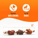 Diagram showing a single Good 'n' Fun gourmet dog chew measuring 5 inches in length.