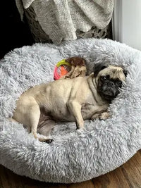 Customer review photo of a pug dog lying down in a plush light gray calming donut pet bed