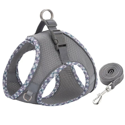 Gray dog harness with patterned straps and matching leash on a white background