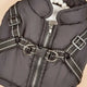 Gray pet carrier with straps and buckles on a beige background