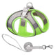 Green and gray dog harness with a leash on white background.