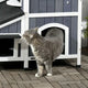 A grey domestic cat walking into the spacious lower main entrance of a grey wooden outdoor cat villa.