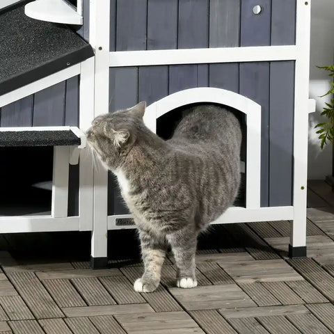 A grey domestic cat walking into the spacious lower main entrance of a grey wooden outdoor cat villa.