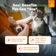 A relaxed brown dog and a grey tabby cat being petted by their owner, illustrating benefits of Zesty Paws for pets with sensitive skin.