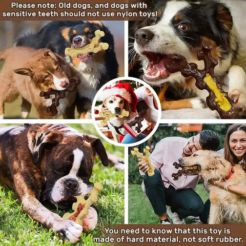 Multiple dogs chewing on hard nylon toys with safety warnings for senior dogs and sensitive teeth.