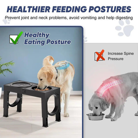 Infographic showing healthy eating posture with raised dog bowls versus neck strain from floor feeding
