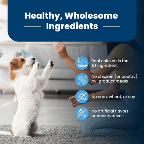 Infographic showing no by-product meals, corn, wheat, soy, or artificial preservatives