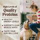 Golden Retriever dog with owner in a kitchen showing high quality protein benefits for healthy energy levels and lean muscle.