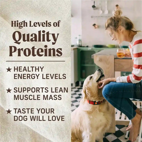 Golden Retriever dog with owner in a kitchen showing high quality protein benefits for healthy energy levels and lean muscle.