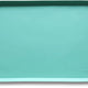 CoolMint bright mint green silicone pet feeding tray with non-slip backing.