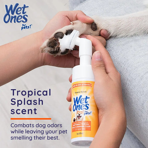 Scrubbing a dirty dog paw using the Wet Ones for Pets antibacterial cleansing foam brush head with a fresh tropical splash scent.