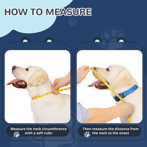 Step-by-step visual guide demonstrating how to measure a dog's neck circumference and snout distance using a soft measuring tape.