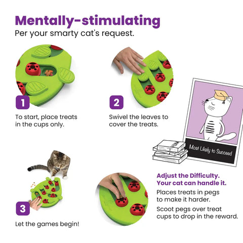 Step-by-step instructions on how to set up and adjust difficulty for a cat mental stimulation toy.