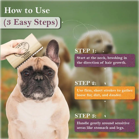 3-step guide for using SleekEZ: start at neck, use short strokes, and handle sensitive areas gently.