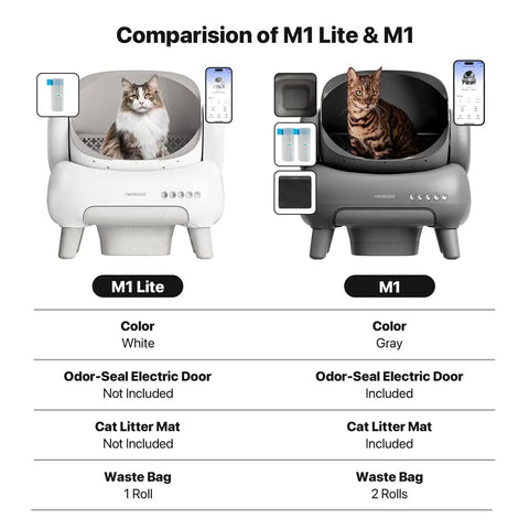 Cleaning Cat Litter Box That Works Around Your Life