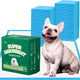 French Bulldog next to a 100-count box of Immcute Super Absorbent Training Pads and stacks of blue regular size pee pads.