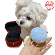 Small white dog with a blue ball and red container on a white background