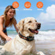 Golden Retriever wearing IPX7 waterproof receiver collar in the ocean water, suitable for bathing, swimming, and raining