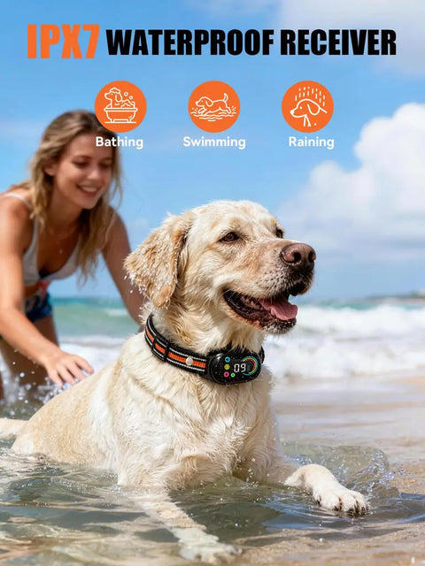 Golden Retriever wearing IPX7 waterproof receiver collar in the ocean water, suitable for bathing, swimming, and raining