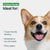 Happy Corgi dog highlighting JustFresh chicken recipe benefits: travel-friendly and moderate fat.
