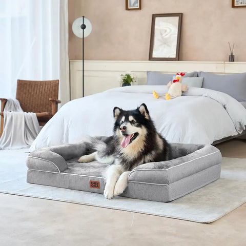 Large EHEYCIGA orthopedic bolster dog bed placed in a modern bedroom with a husky resting