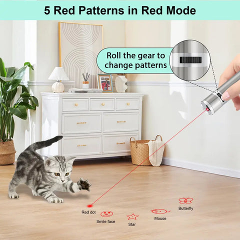 Kitten playing with interactive red laser projections including red dot, smile face, star, mouse, and butterfly patterns