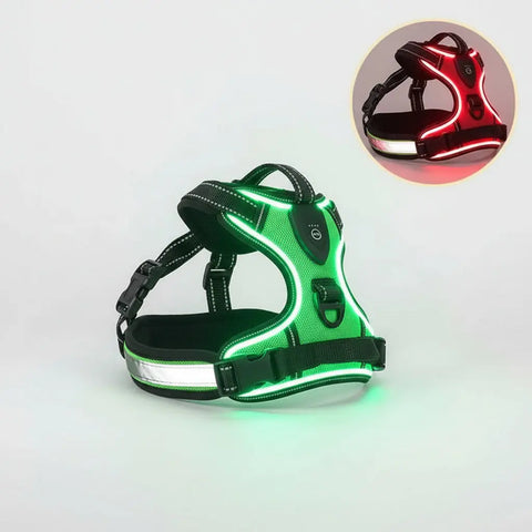 LED dog harness with rechargeable lights in green for safe nighttime walks.