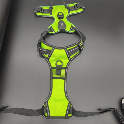 LED harness with multiple light modes and reflective strips for dark walks.