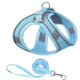 Light blue dog harness and leash set on white background.