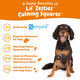 Lil' Zesties Calming Squares with Sensoril Ashwagandha for dogs.
