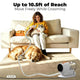 Woman using the 10.5ft long-reach pet grooming vacuum hose to groom a cat on the sofa while a dog sleeps nearby.
