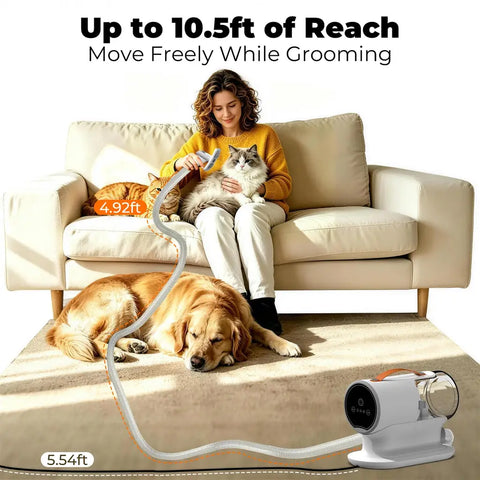 Woman using the 10.5ft long-reach pet grooming vacuum hose to groom a cat on the sofa while a dog sleeps nearby.