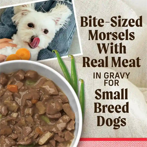 Bite-sized real meat morsels in gravy wet dog food bowl for small breed dogs.