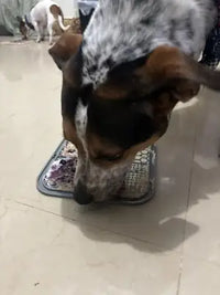 A close-up view of a speckled mixed-breed dog licking a blueberry and yogurt puree mix off a gray textured slow feeder mat on a tiled floor.