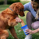 Owner cleaning muddy golden retriever paws outdoors using a blue MudBuster cup