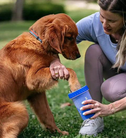 Owner cleaning muddy golden retriever paws outdoors using a blue MudBuster cup