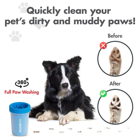Before and after results of using MudBuster paw cleaner on a border collie dog