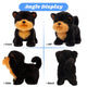 Front, side, back, and 45-degree angle display views of the plush puppy toy