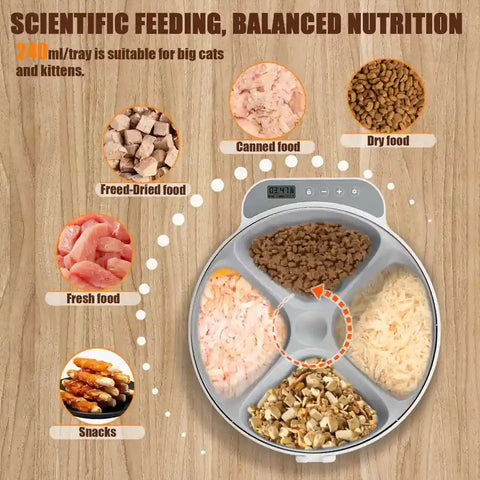 Top view of 5 compartment rotating tray filled with dry food, canned food, wet food, and snacks