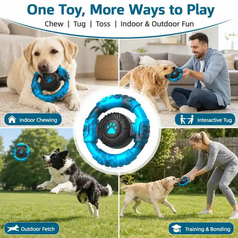 Multi-panel customer lifestyle image showing a Labrador and Border Collie playing indoor chewing, interactive tug, outdoor fetch, and training.