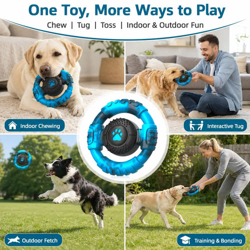 Multi-panel customer lifestyle image showing a Labrador and Border Collie playing indoor chewing, interactive tug, outdoor fetch, and training.