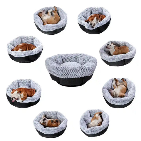 Multiple pet beds with dogs inside on a white background.